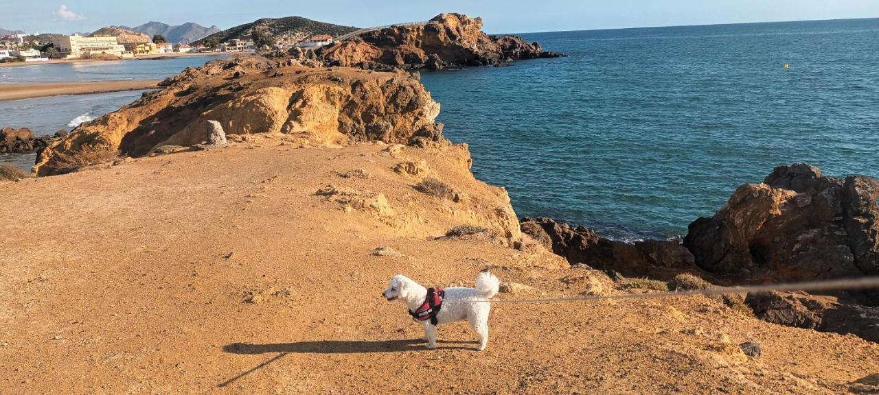 El Puerto de MazarrónSunrise Den, A Pie De Playa, Vista Al Mar Y Piscina别墅 外观 照片