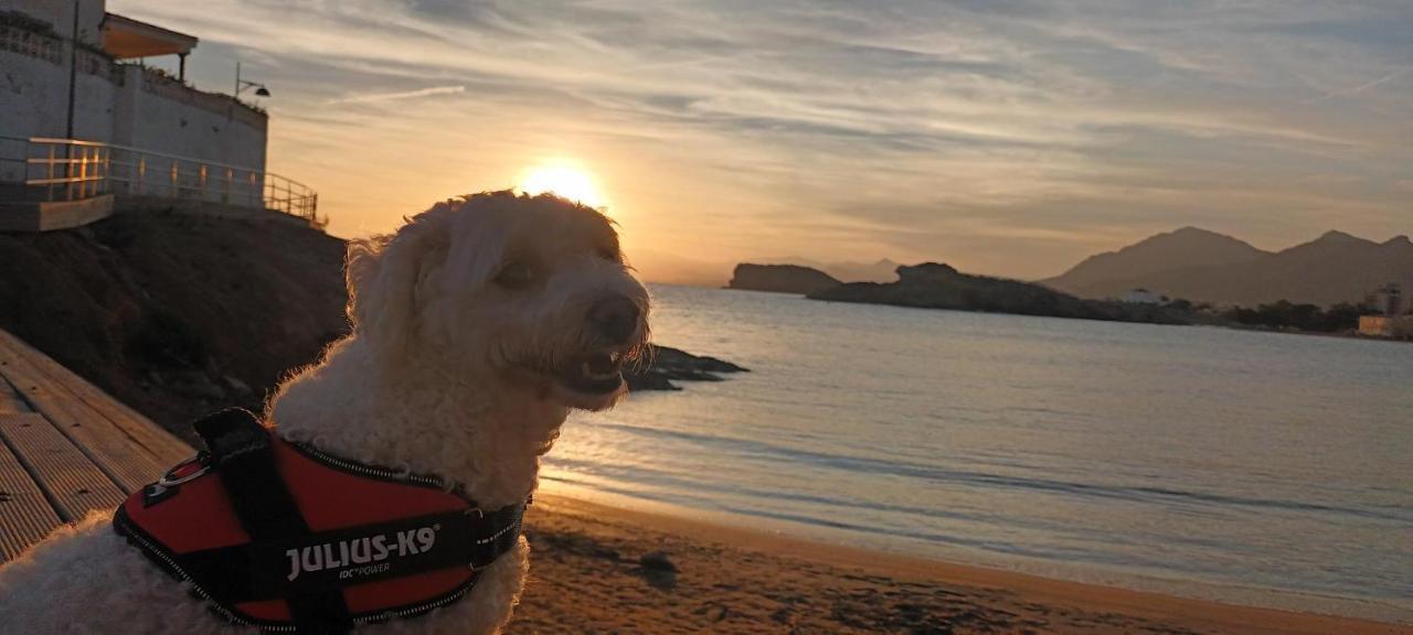 El Puerto de MazarrónSunrise Den, A Pie De Playa, Vista Al Mar Y Piscina别墅 外观 照片